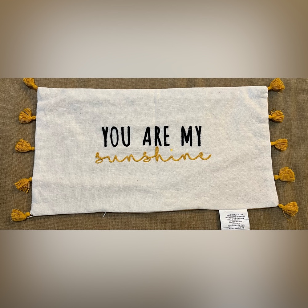 NWT Mainstays “you are my sunshine” pillow COVER